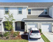7048 Summer Holly Place, Riverview image