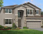 33163 Sycamore Leaf Drive, Wesley Chapel image