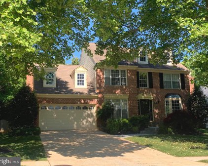 3994 White Rose Way W, Ellicott City