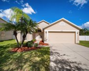 8406 Carriage Pointe Drive, Gibsonton image