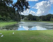 13016 Terrace Brook Place, Temple Terrace image