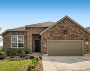 10604 Hibiscus Cove, Helotes image