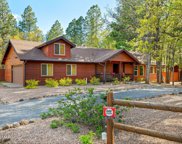 4391 Branding Iron Loop, Pinetop image