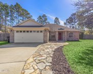 11009 Fawnwood Ct, Bryceville image