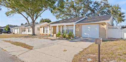 7351 Nova Scotia Drive, Port Richey