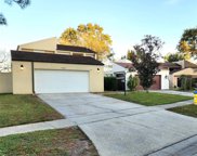 16111 Gardendale Drive, Tampa image