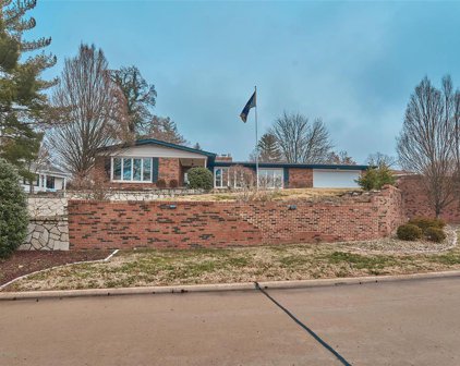 10785 Forest Circle  Drive, St Louis