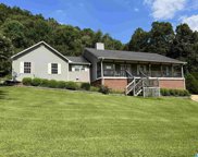 5941 Miles Mountain Trail, Pinson image