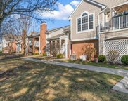 44813 Marigold, Sterling Heights image