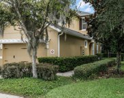 8212 Tranquility Way Unit 3008, Windermere image
