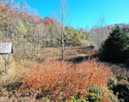 301 Cagle Cove, Sylva image