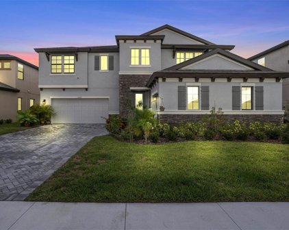 12850 Boggy Creek Drive, Riverview