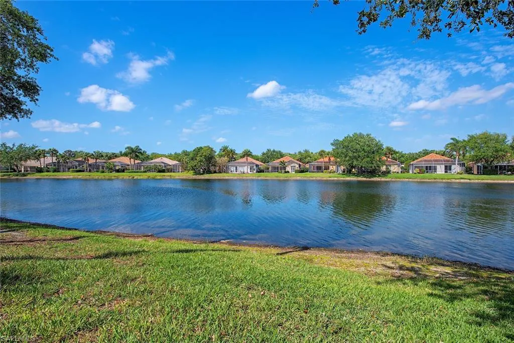 Lake Views