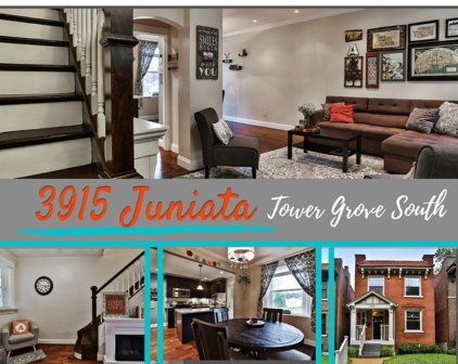 3915 Juniata, St Louis