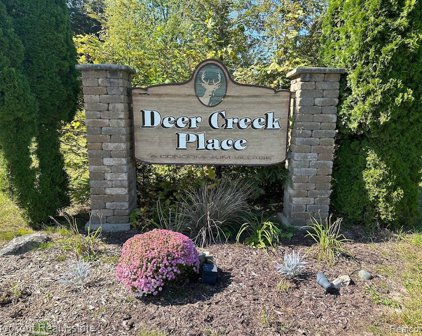Deer Creek, Chesaning