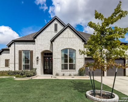 13175 Hallie Chase, Schertz
