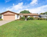 2823 Oak Tree Lane, Palm Harbor image