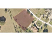 Royal Palm Drive Unit Lot 65, Groveland image