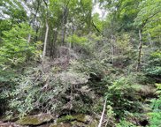 Lot 19 Spicewood St, Sevierville image