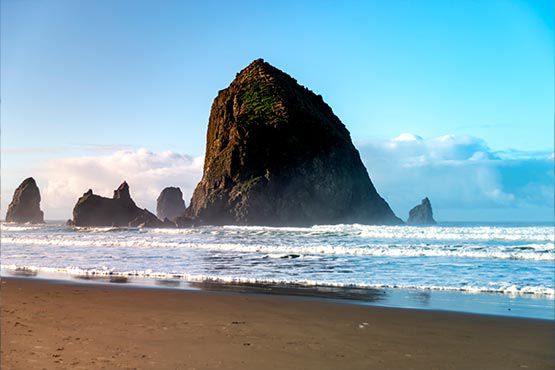 Explore Seal Rock properties