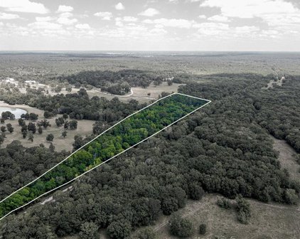 TBD FM 1486, Montgomery