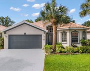 12693 Ivory Stone  Loop, Fort Myers image