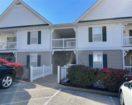 1117 Arbor Creek  Drive Unit #2B, St Louis