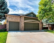 10002 Silver Maple Road, Highlands Ranch image