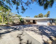 Sarasota image