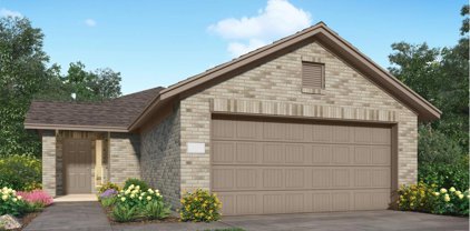 220 River Grove Court, Willis