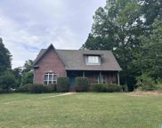 1021 Long Branch Parkway, Calera image