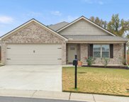 5475 University Gardens Drive, Cottondale image