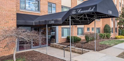 1300 S Arlington Ridge   Road Unit #705, Arlington