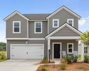 169 Camellia Bloom Drive, Moncks Corner image