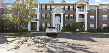 1175 Mill Crossing  Drive Unit #100, St Louis