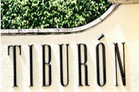 Search Tiburon Ritz-Carlton Golf Resort homes and condos for sale in Naples Florida