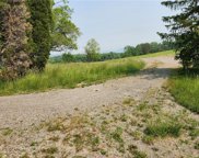 8804 State Route 21, Naples-323889 image