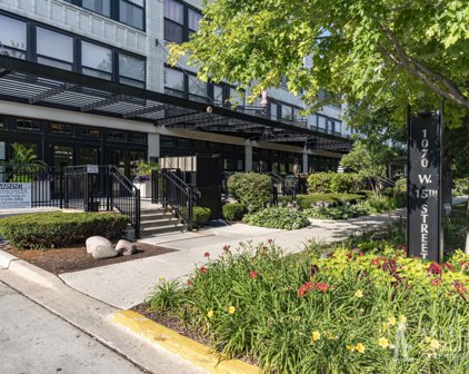 1070 W 15Th Street Unit #203, Chicago