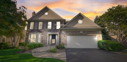 942 W Aspen Court, Palatine