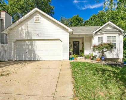 332 Wynstay  Avenue, Valley Park