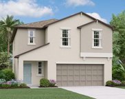 9908 Spanish Lime Court, Riverview image