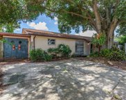 8702 Marlin Court, Tampa image