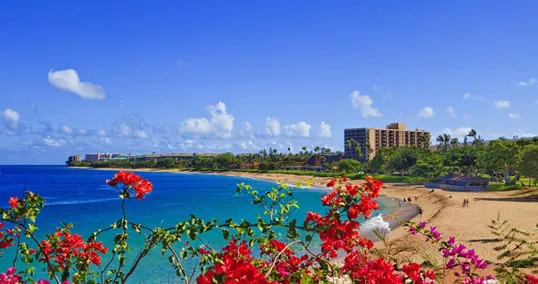 The Kahana coastline with red coastal flowers.