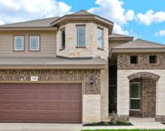 10506 Briceway Fall, Helotes image