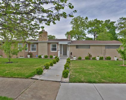 5825 Eichelberger  Street, St Louis