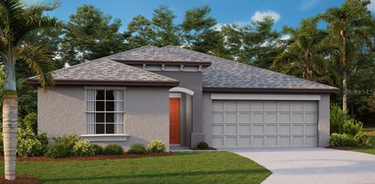 5340 Blue Horizon Way, Wimauma