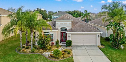 9840 Jasmine Brook Circle, Land O' Lakes