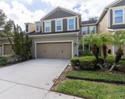 152 Grande Villa Drive, Lutz image