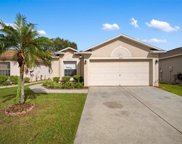 4313 Country Hills Boulevard, Plant City image