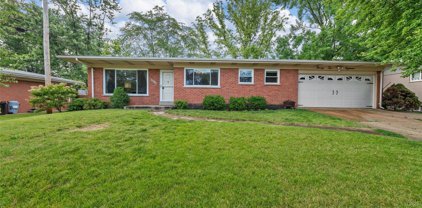 9218 Clydesdale  Drive, St Louis